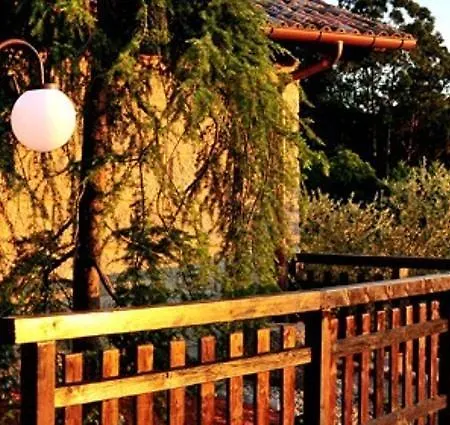 O Paxareco De Ay Meis